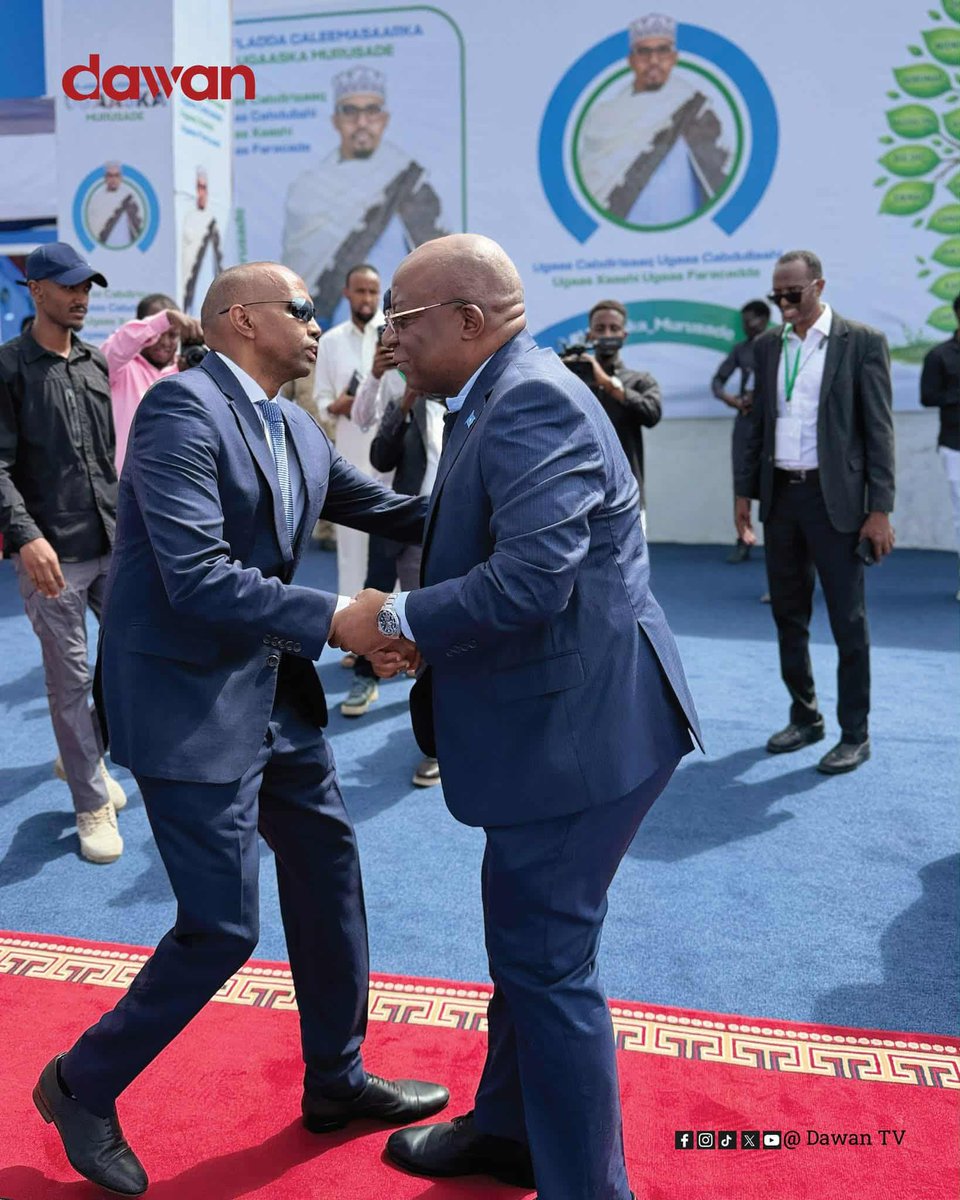 Daud Aweis tweet media