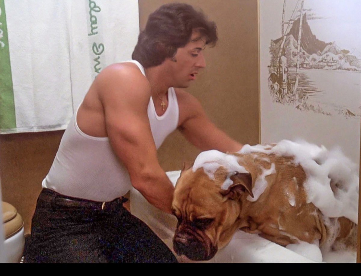 abylurv's tweet photo. Sylvester Stallone sold his dog Butkus for $40 outside a 7-Eleven.

He was 26, living in a roach-infested flophouse above a subway stop with his pregnant wife. They had $106 in the bank, two pairs of pants that barely fit, and shoes full of holes.
His only real friend? A big bullmastiff named Butkus……