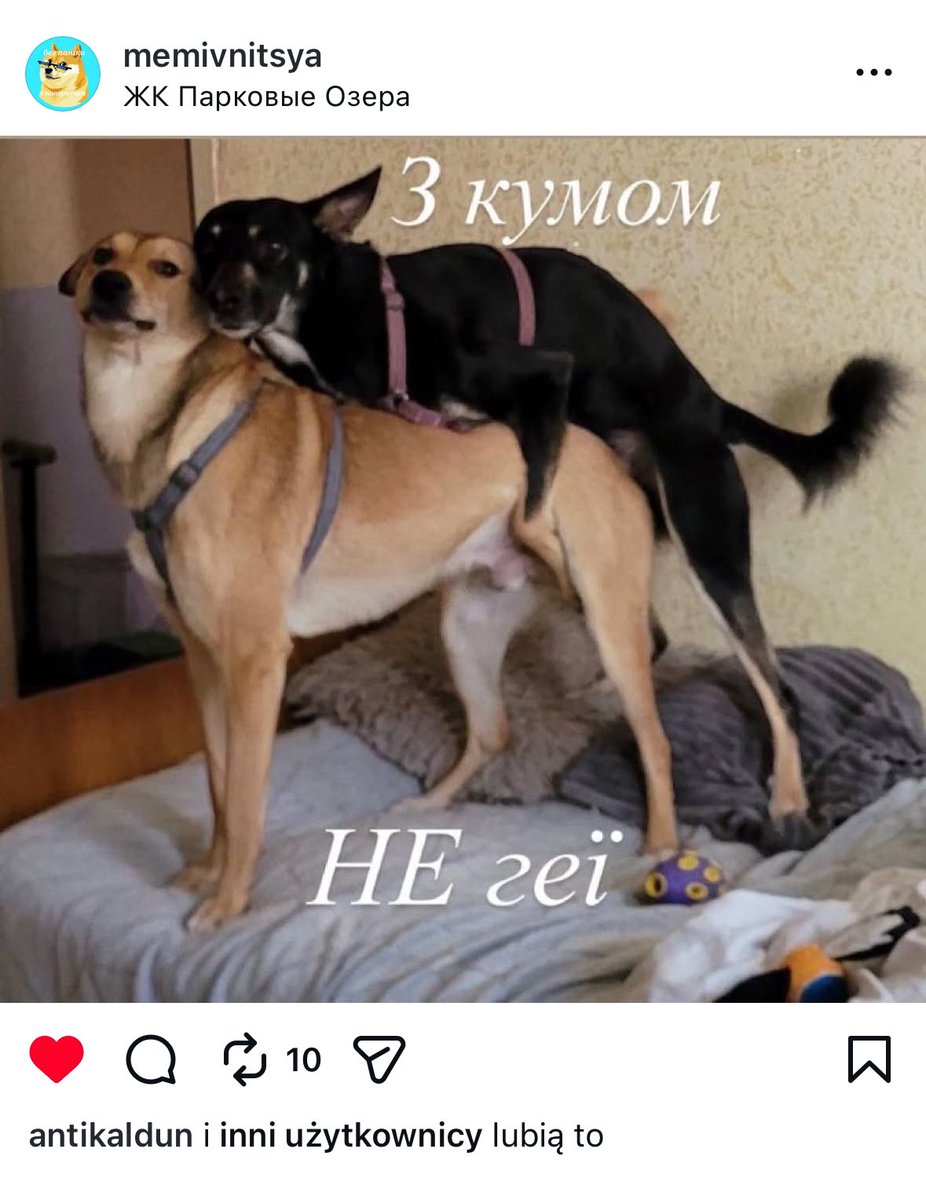 Kaszka Manna tweet media
