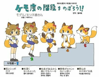 끼룩갈매기빔GGi tweet media