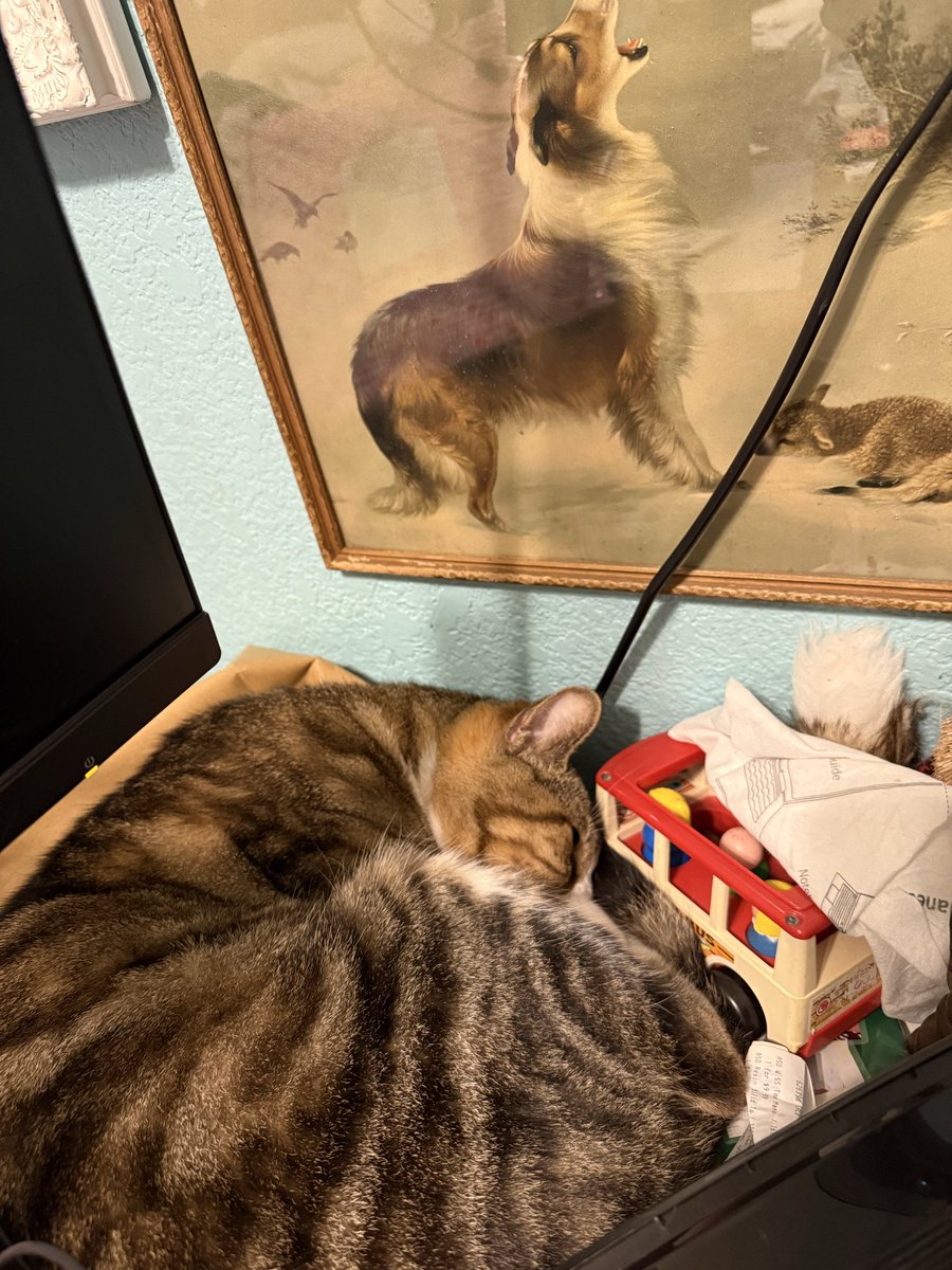 𝙒𝙚𝙣𝙙𝙮 𝙃𝙖𝙢𝙞𝙡𝙩𝙤𝙣 tweet media