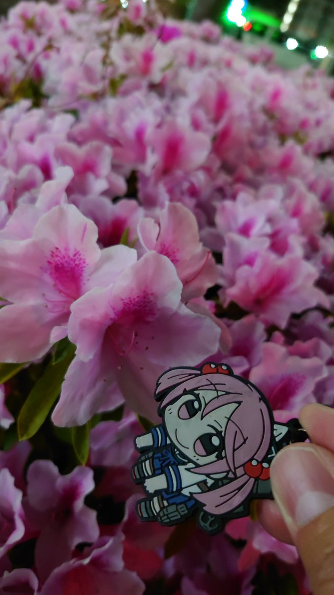 みそら提督 tweet media