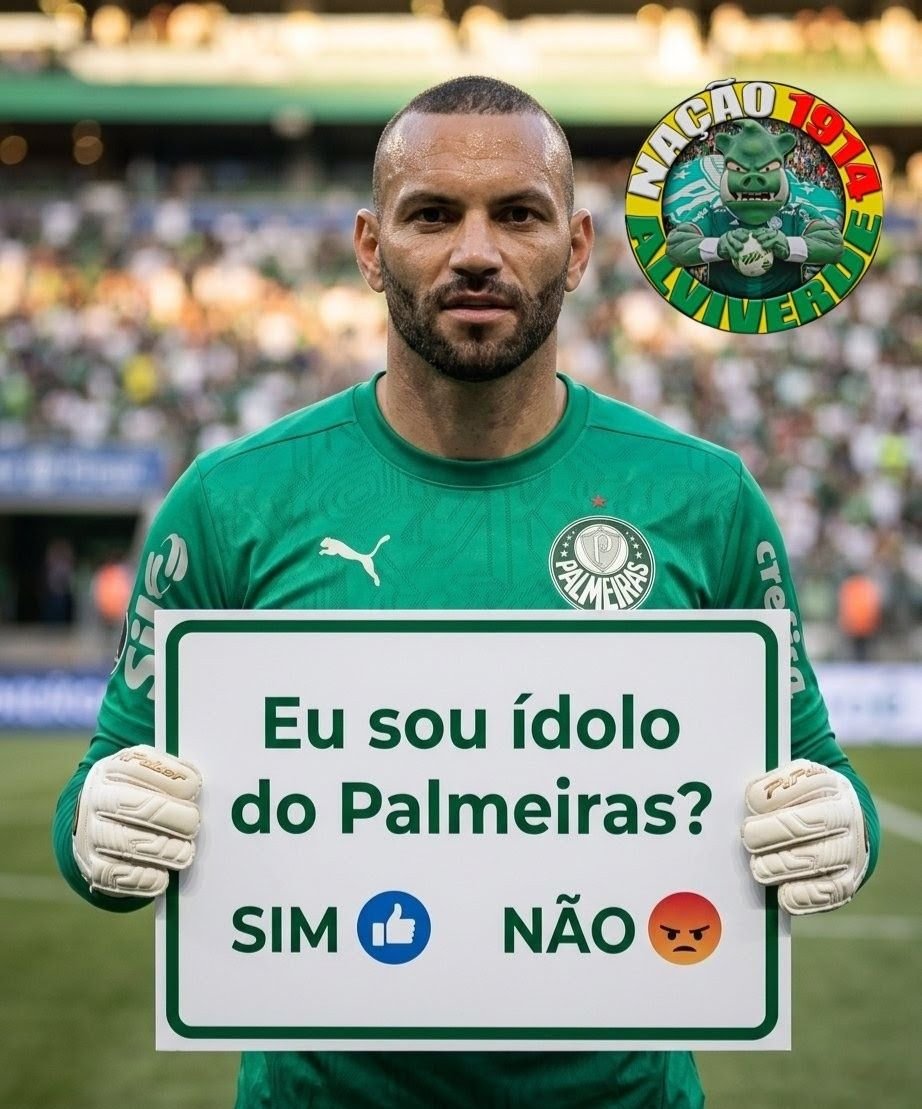 ⓟalmeirenses_ tweet media