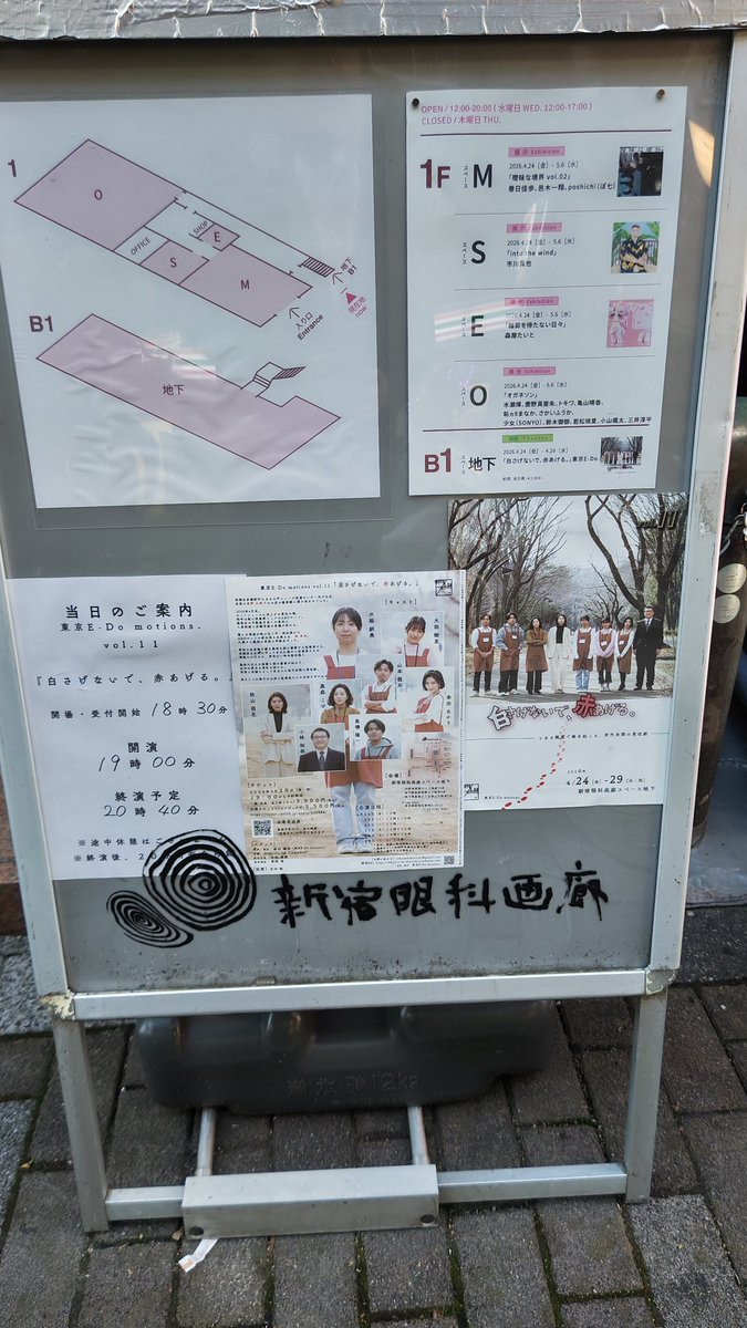 ぴか tweet media
