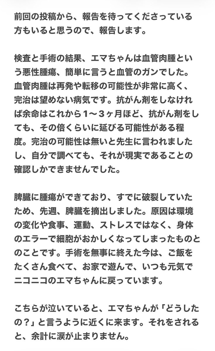 伊之助ボディになるまで毎日腹筋ローラー tweet media