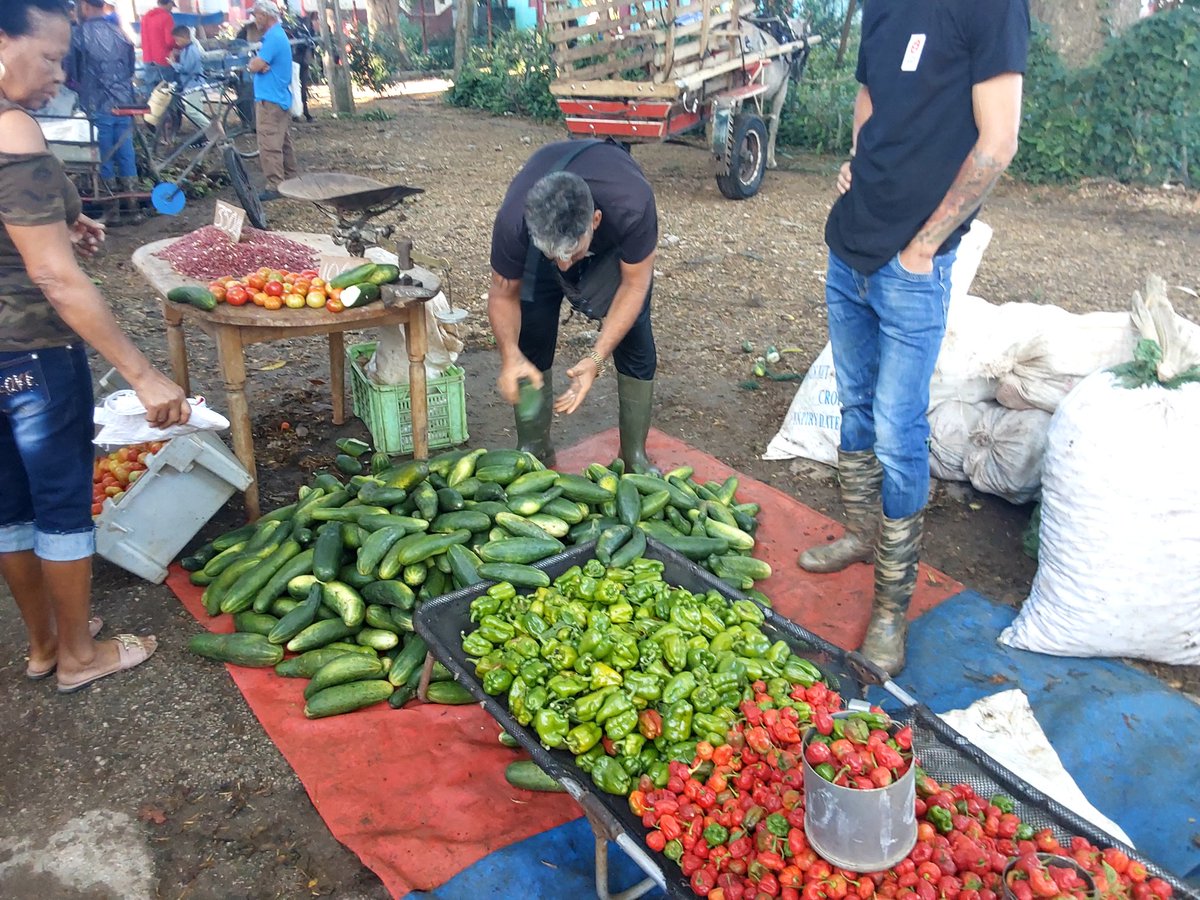 PadronAcevedo's tweet photo. #PoderPopularAmancio🇨🇺
#PoderPopular50Años🇨🇺
#LaPatriaSeDefiende🇨🇺
Feria agrocomercial en nuestro terruño. Por nuestro pueblo, todo. https://t.co/75vTLE7IkD