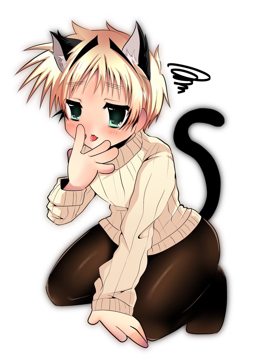 榊原ぬこ tweet media