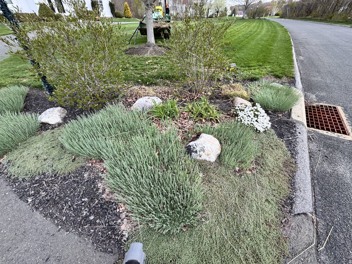 FedProm's tweet image. Pick up gardening before dating seriously. You’ll learn a lot. I wished i did sooner. #lovelife