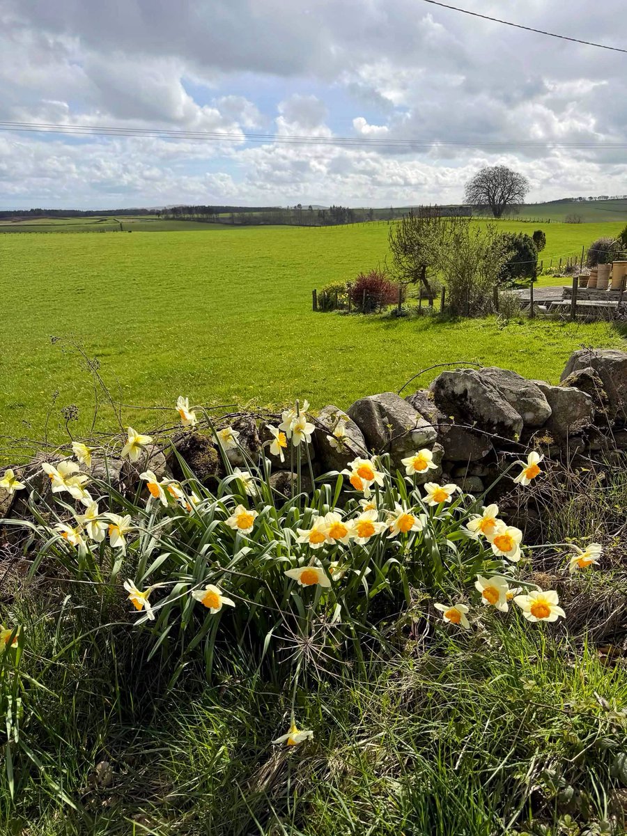 Postcard from Britain (@BritainBloom) / Posts / X