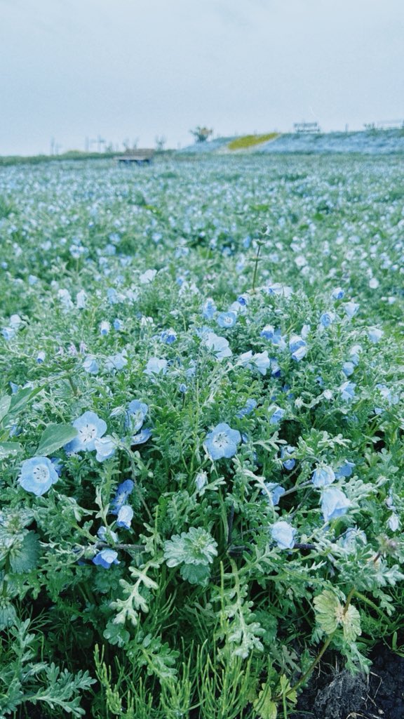 みとは。 tweet media