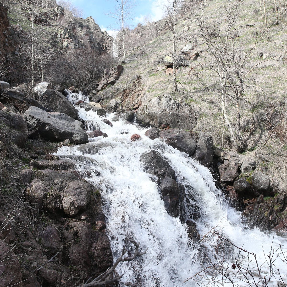 Mavi Türk 🇹🇷 tweet media