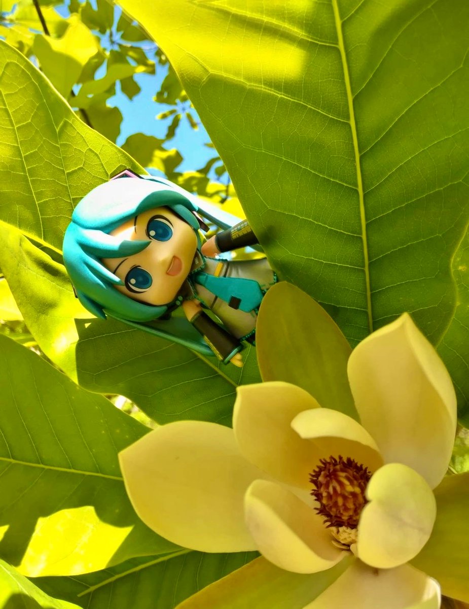 雪月花❄️🌙🌸 tweet media