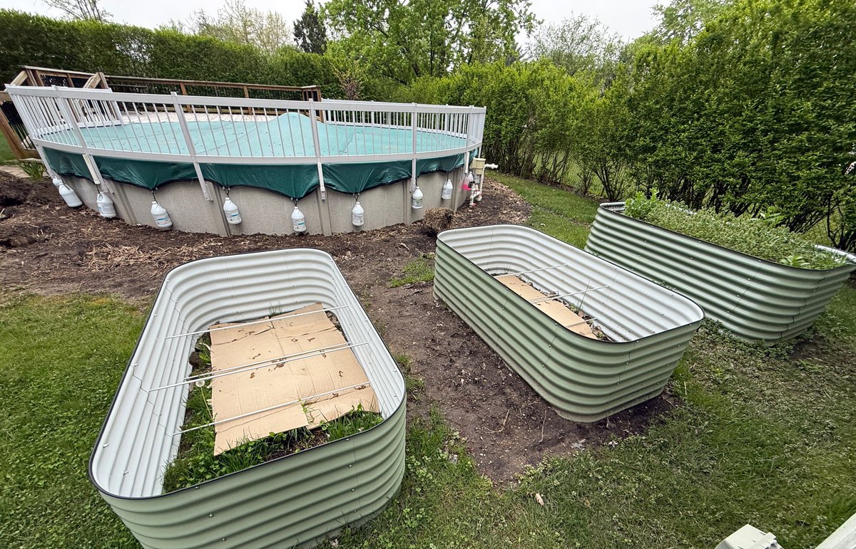 Regular_Guy tweet media