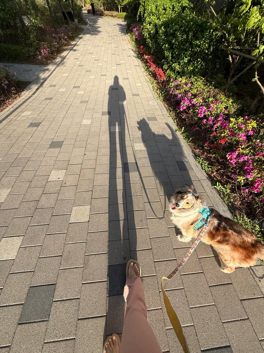 🪷⁵ᐟ⁹☀️➡️ 민 tweet media