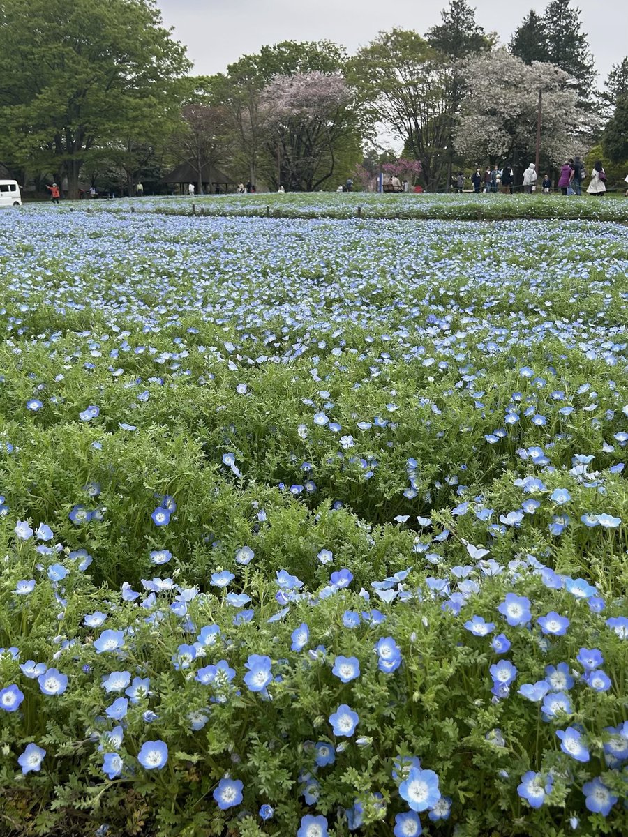 あんなちゃん♡ tweet media