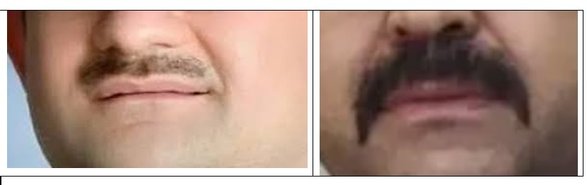 Ali Gursoy tweet media