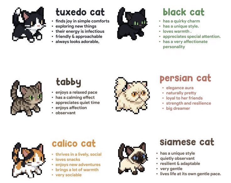 VINS🫧🛁🍀 OT8 tweet media