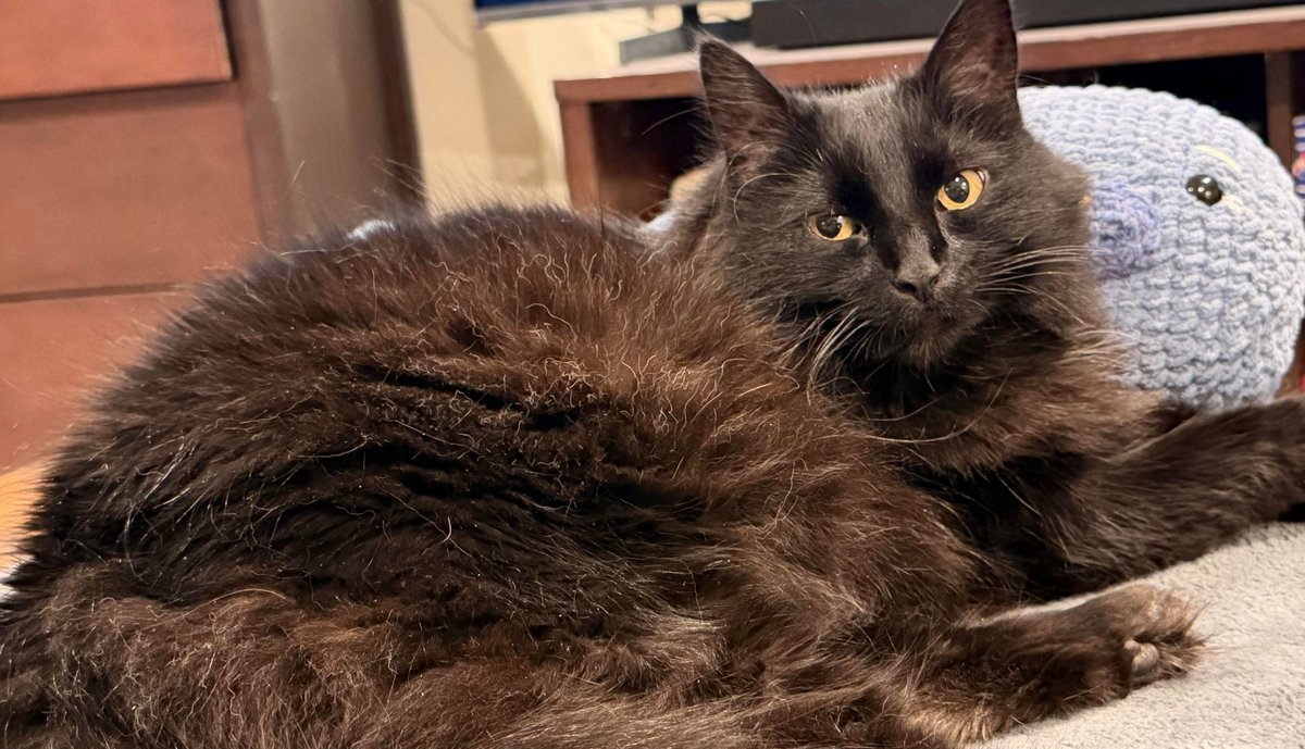 G. Y@ (@gwyattharding) on Twitter photo 