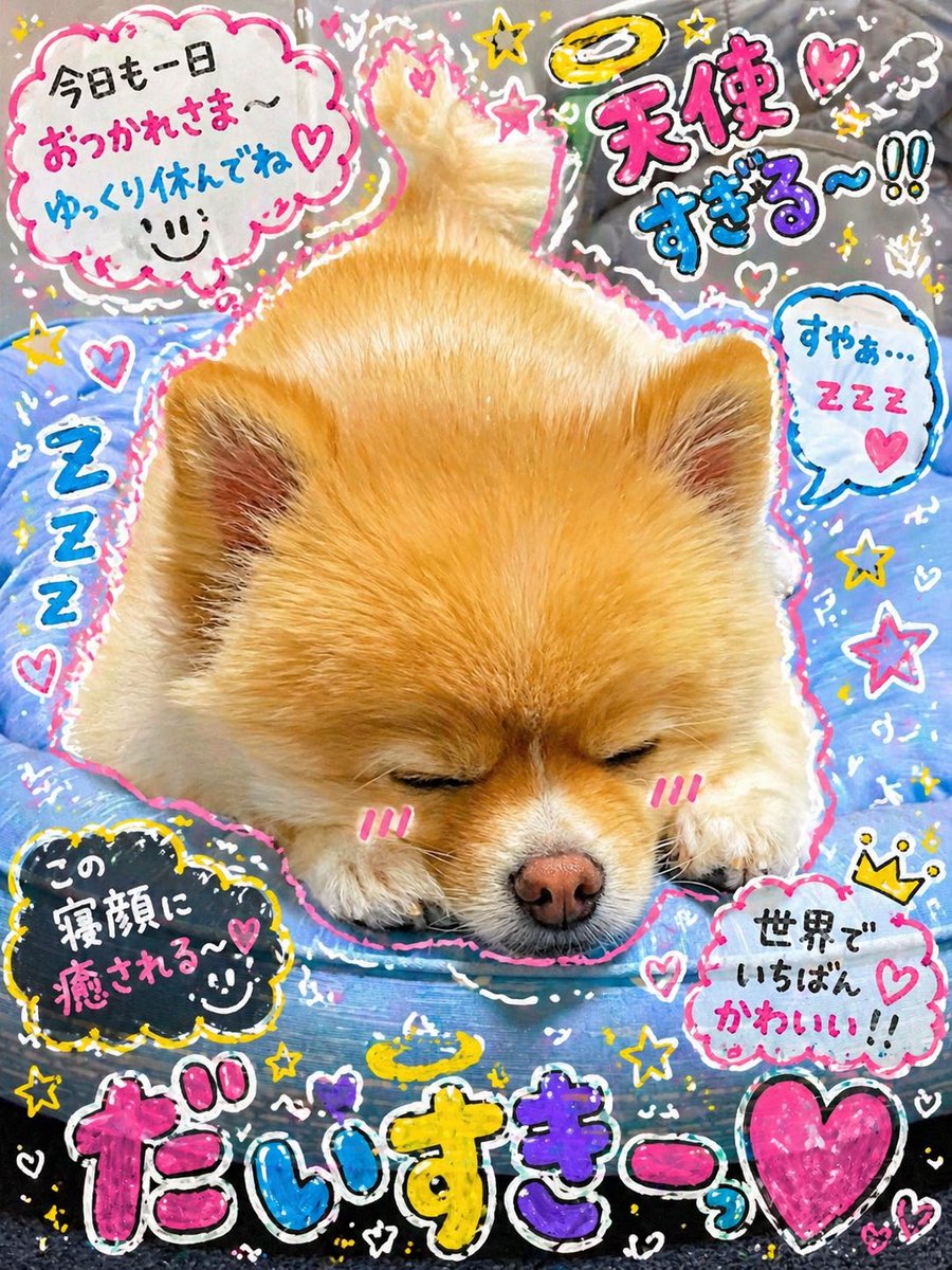 ポメラニアンこまめ (@gfPaOgtThRvy6QP) / Posts / X