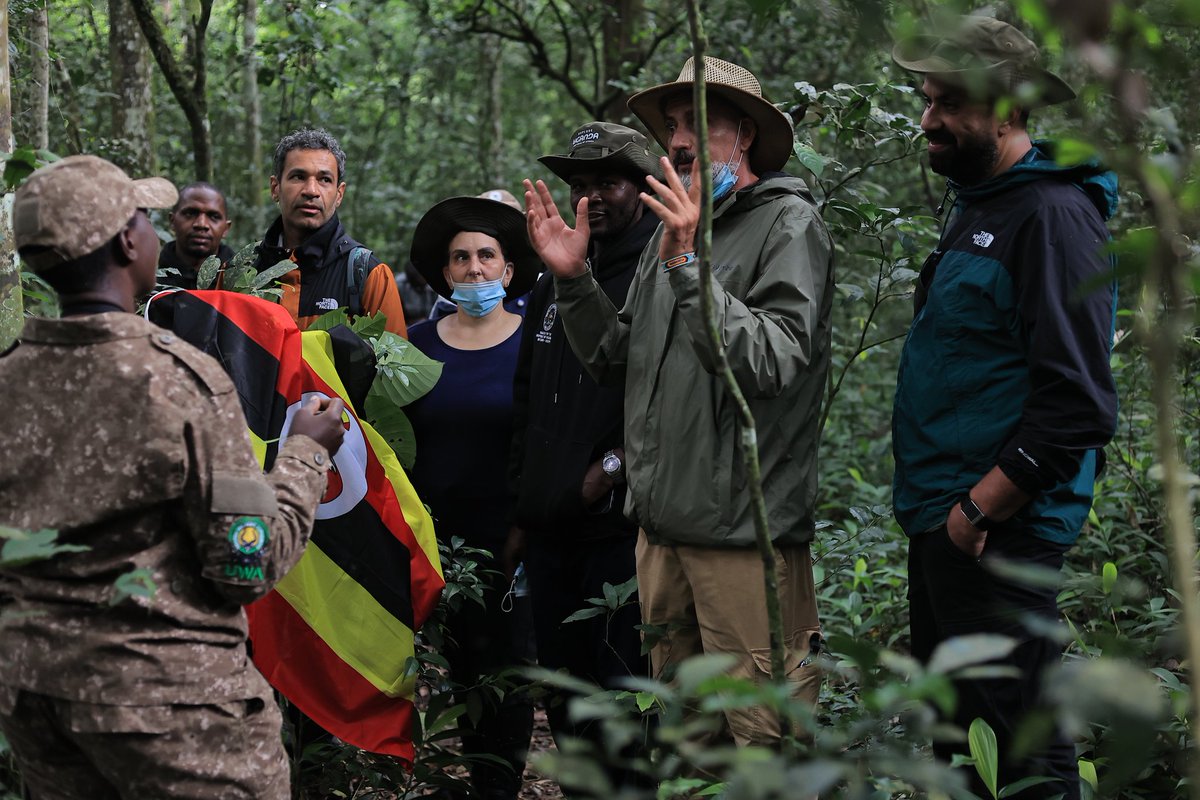 CairoUganda's tweet photo. The tales about the Chimpazes at Kibale Forest National Park with the Egyptian delegation on a familirisation tour in Uganda courtesy of Uganda Embassy, Cairo 

#EgyptToUganda 
#FamTrip
#ExploreUganda
#VisitUganda https://t.co/cZXocX7FGR