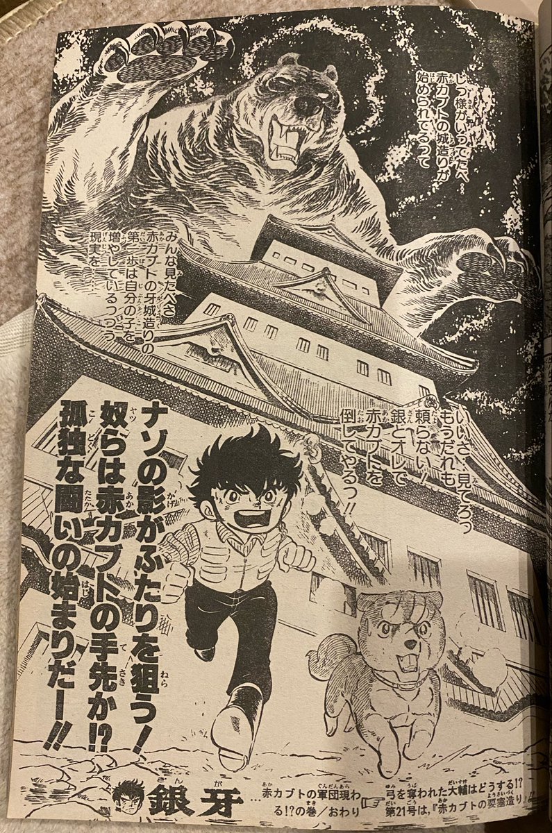 高橋よしひろ先生　手ぬぐい 高橋よしひろ先生 手ぬぐい メルカリ - 手ぬぐい 銀- 銀牙-流れ星 SHOP