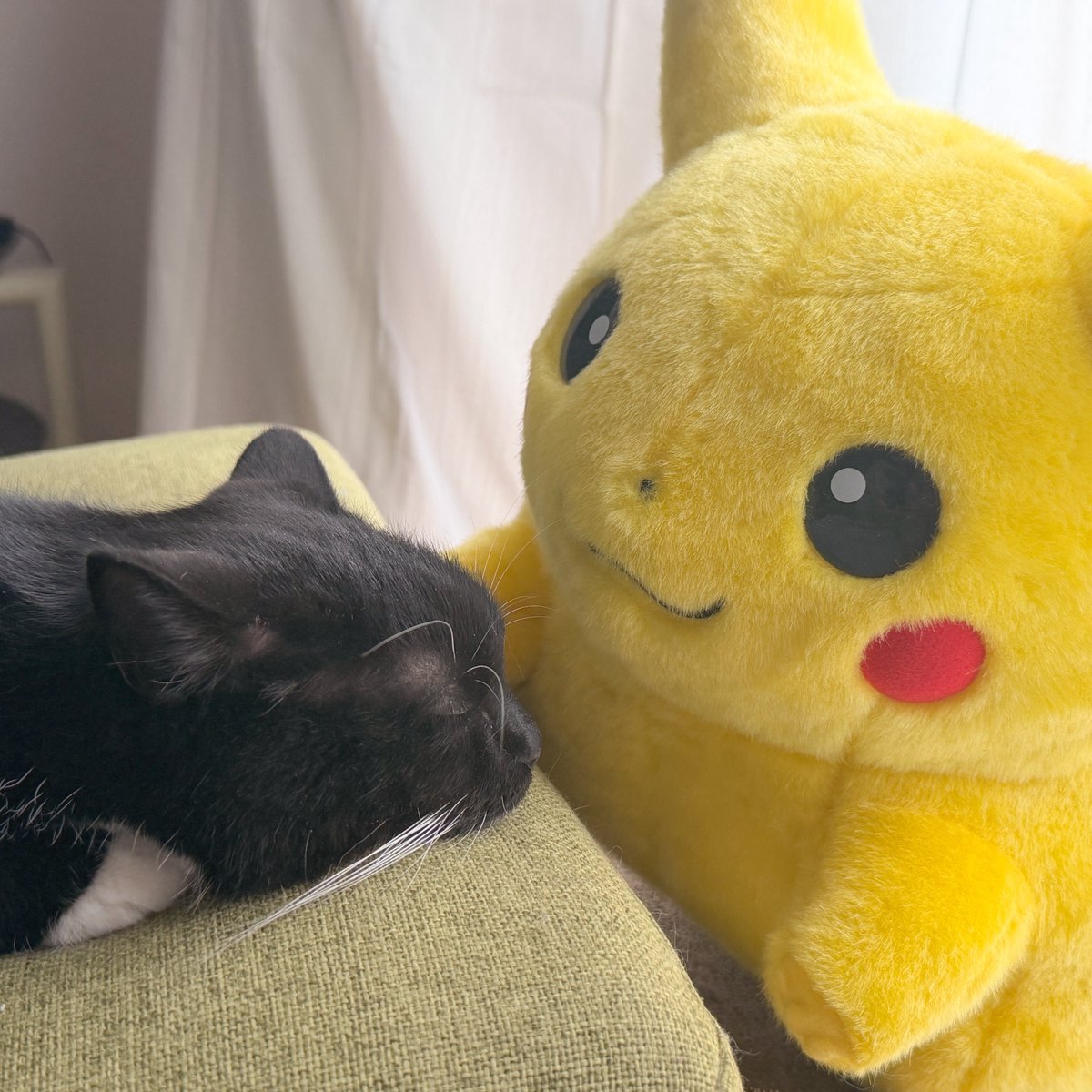 Pikachu is watching over Uni