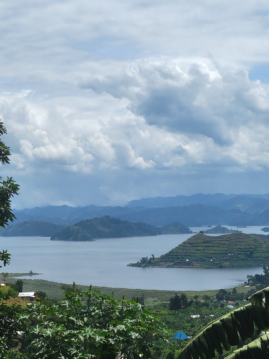 Santavivaltd's tweet image. Step into Kisoro’s coffee farms—walk the hills, meet the growers, and pick the beans by hand.
From harvest to cup, taste pure organic Arabica at its source—rich, bold, and deeply rooted in the land.
More than a drink, it’s a story in every cup.

#CoffeeExperience #CoffeeLovers