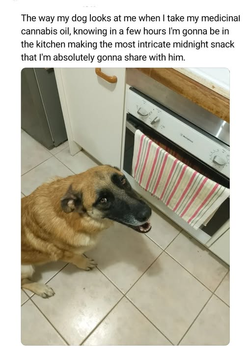 Papa Woof und Krampus und Bleaken tweet media