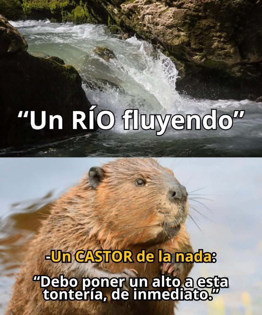 Memes Universidad Nacional tweet media