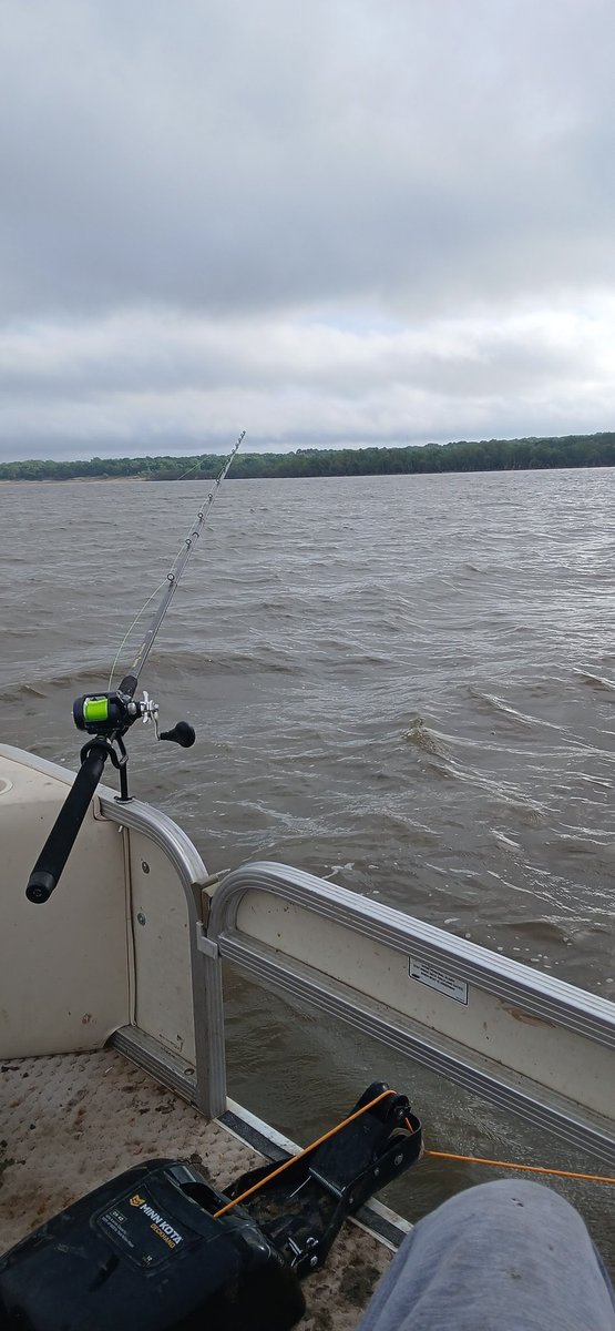 unKleDonkey951 tweet media