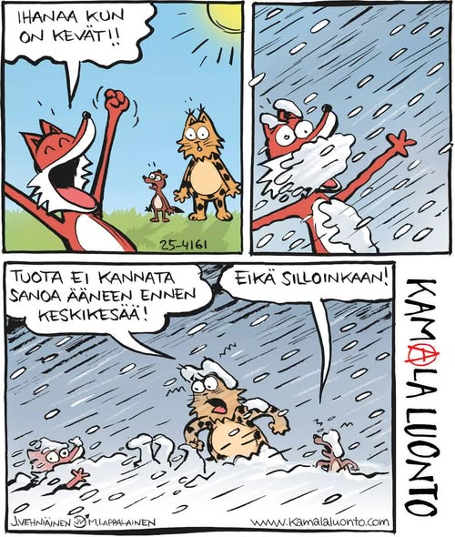ApacheQQ's tweet image. No tulihan se sieltä! Ainakin osaan maatamme . Onko teidän pihallanne?! Oulussa ei #takatalvi #kamalaluonto #Suomi #lumi #kevät