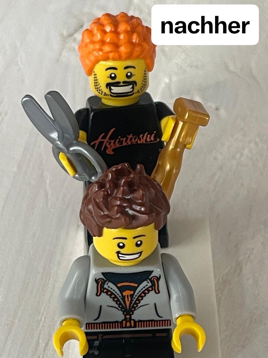 SatoshiBricks tweet media