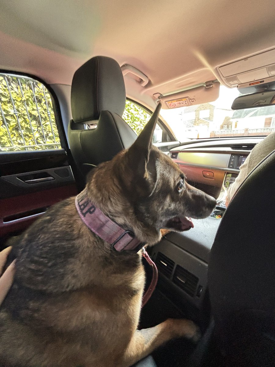 RPD Snap tweet media