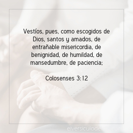 elversiculo's tweet image. Vestíos, pues, como escogidos de Dios, santos y amados, de entrañable misericordia, de benignidad, de humildad, de mansedumbre, de paciencia;  Colosenses 3:12   #versiculodeldia #versiculobiblico #biblia