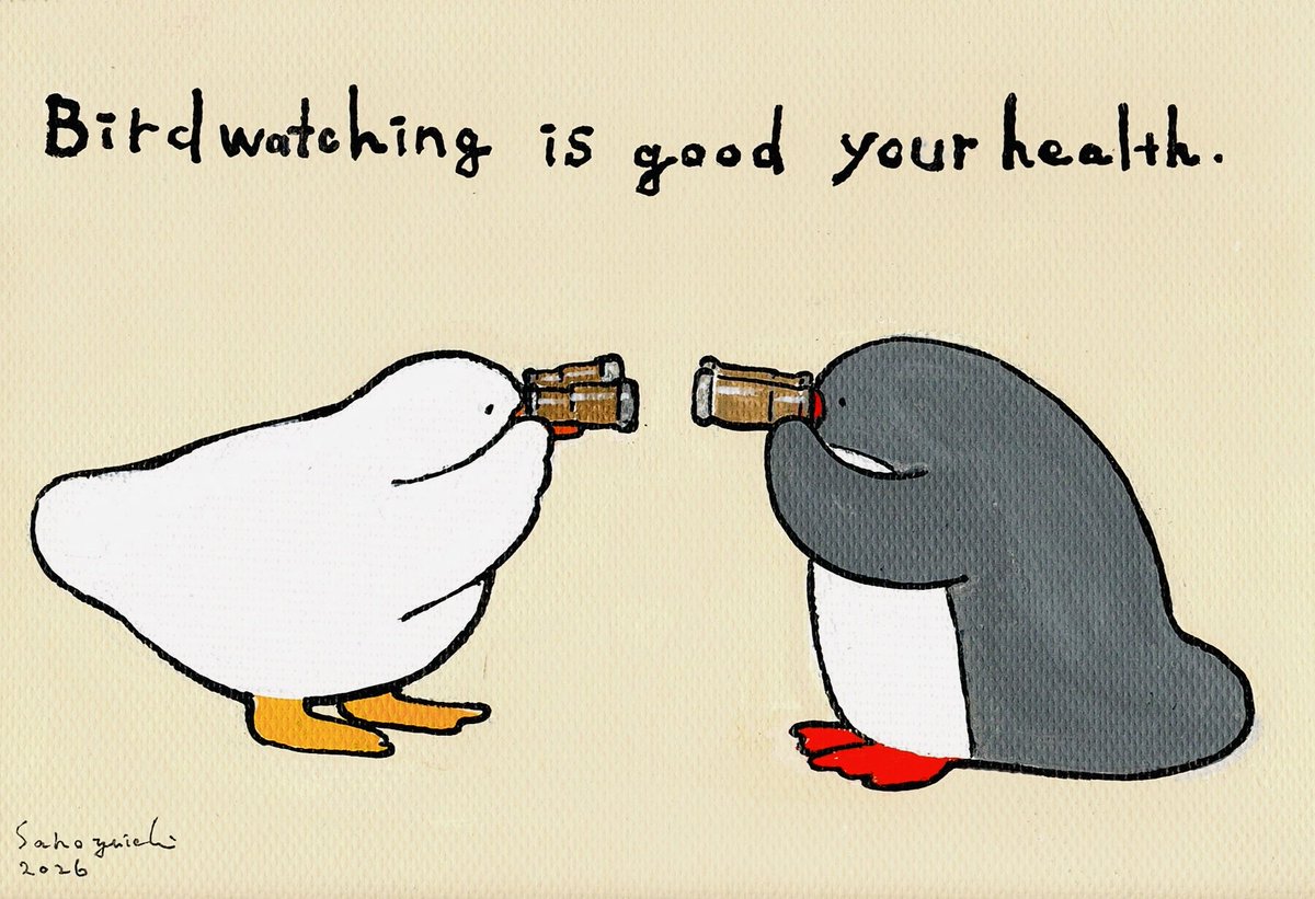 sano yuichi tweet media