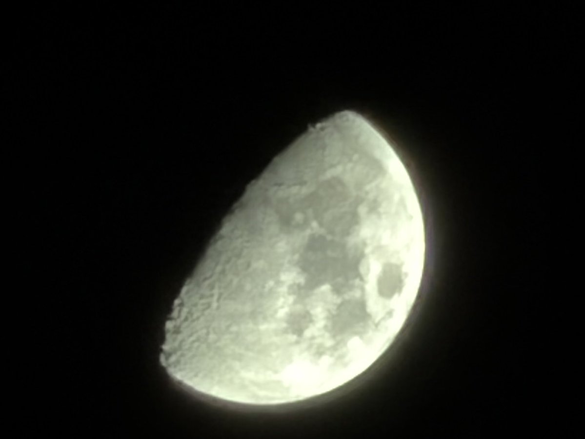 よーすけさんたまりあ tweet media