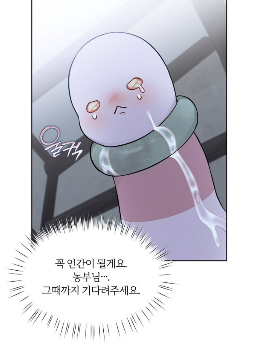 위즈덤하우스 웹툰 tweet media