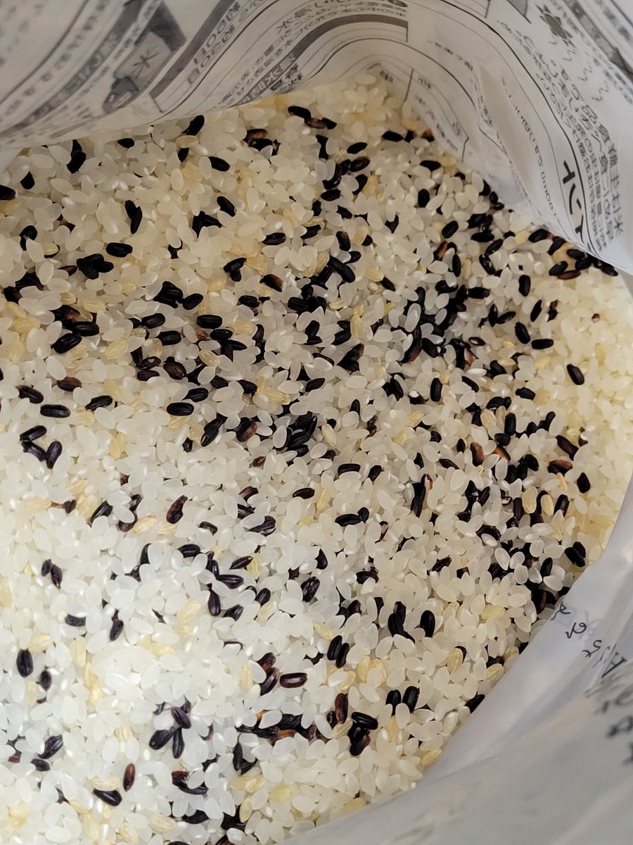 🌰ビートン🎻 tweet media