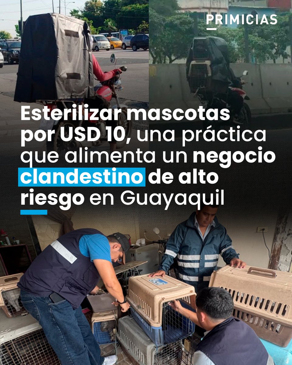 El costo de una esterilización segura incluye insumos, condiciones quirúrgicas y personal calificado, lo que impide que se oferte a precios mínimos. En Guayaquil, valores muy por debajo de esos parámetros evidencian la presencia de servicios sin estándares médicos.