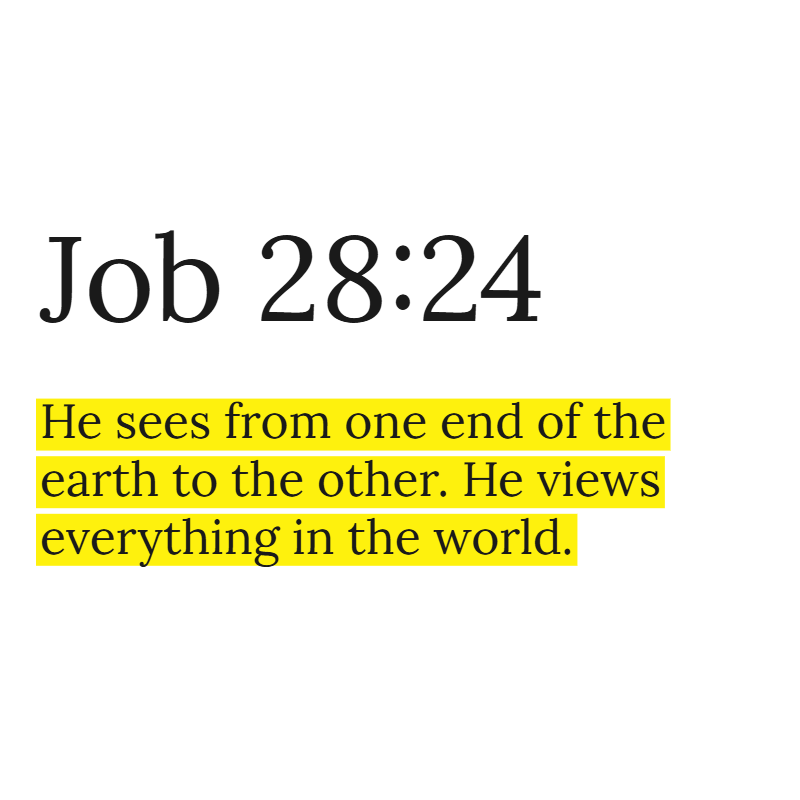 Holy Bible tweet media