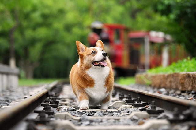 James Gibbs tweet media