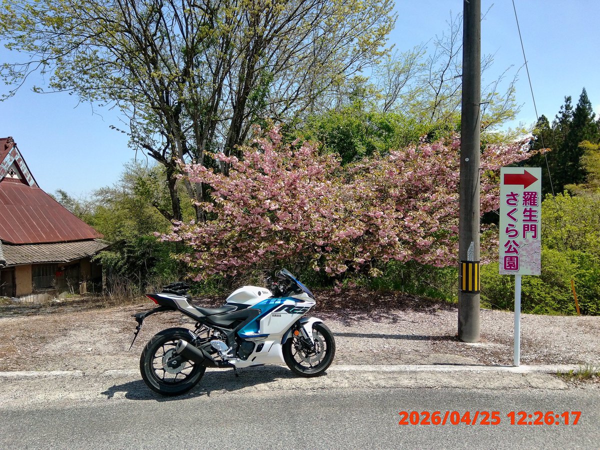 stardust7th's tweet photo. 260425📷

1966年製の自撮りフォト

#yzfr25 #yzfr25乗りと繋がりたい 

#Kodak #kodakpixproc1 https://t.co/hXPzBVGt2j