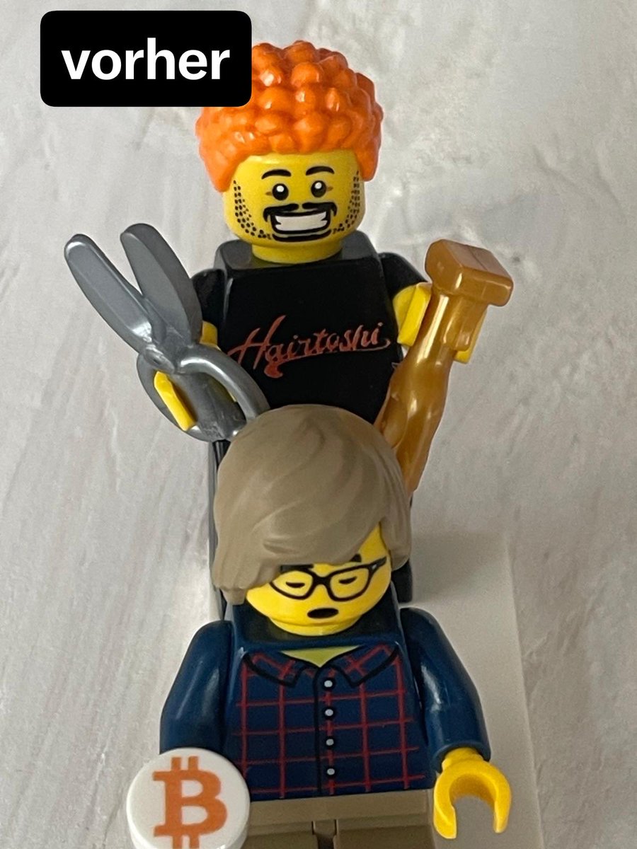 SatoshiBricks tweet media