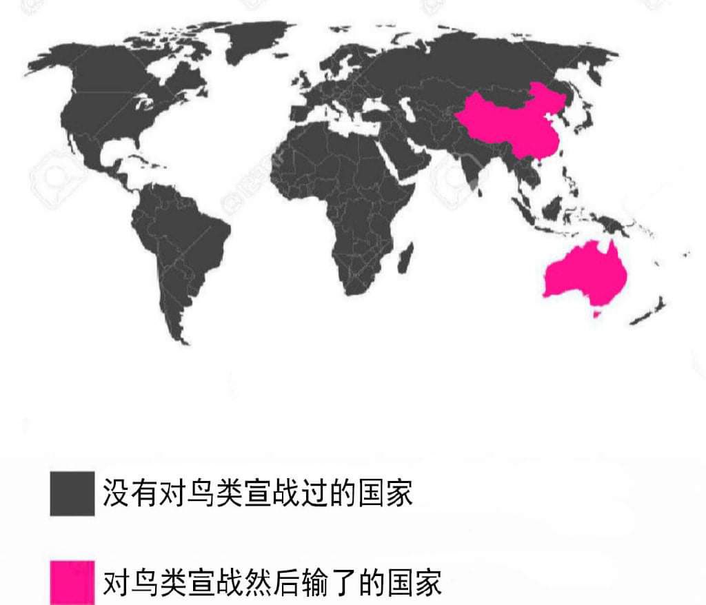 ジョニー tweet media