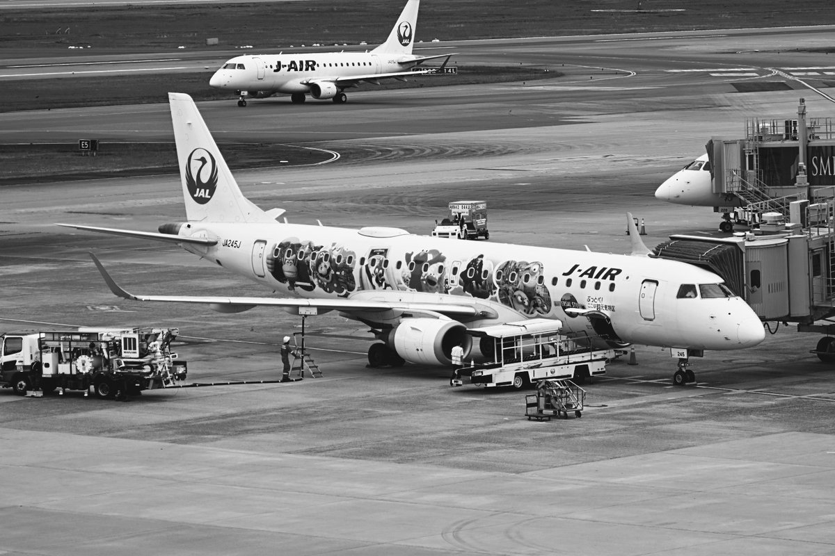 lesser_pandarou's tweet image. Camera→Nikon z50II 
Lens→ai nikkor 135mm f3.5
#monochrome
#オールドレンズ
#写真好きな人と繋がりたい