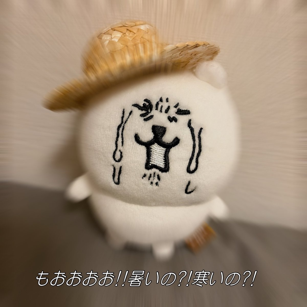 ひま tweet media