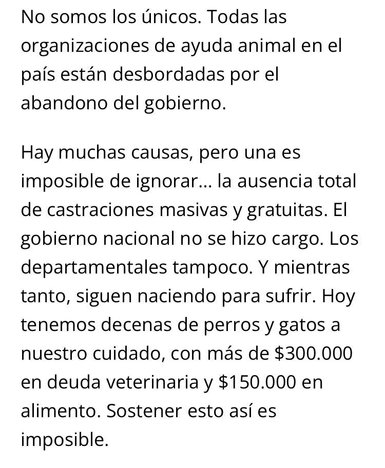 Plataforma Animalista tweet media