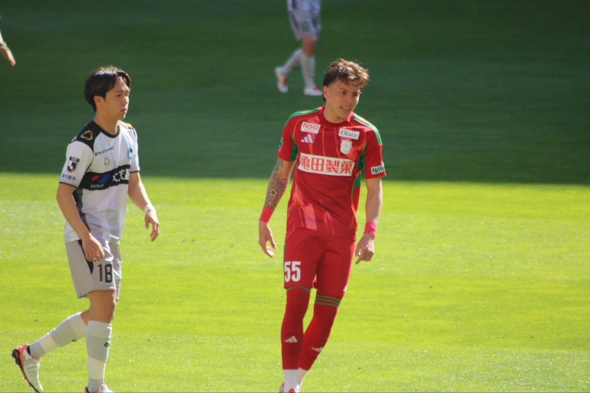 あお🦢🫶 tweet media