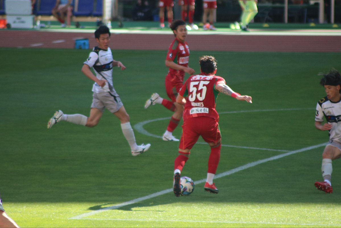 あお🦢🫶 tweet media