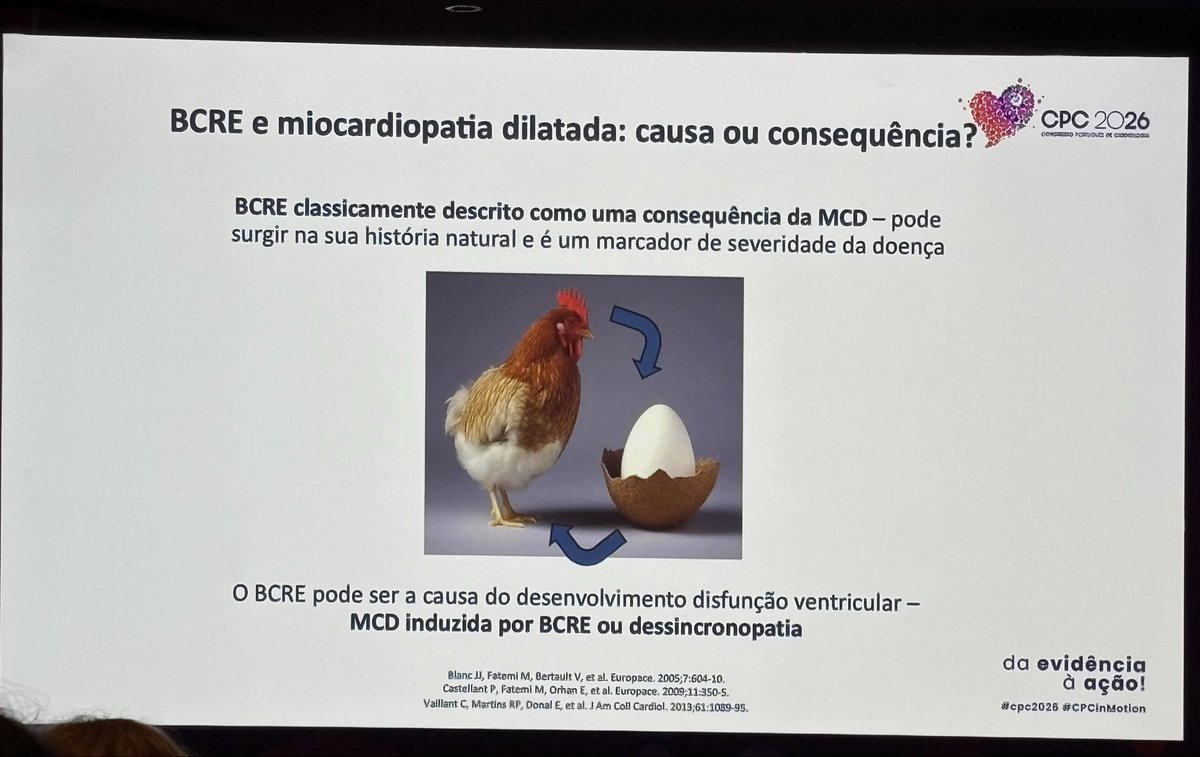 Inês Almeida tweet media